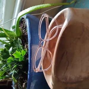 Warby Parker Louise Medium Rose Water